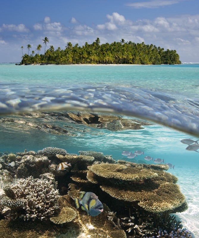 The Pacific Islands will benefit from $200 million from the NZ government for climate change initiatives. 